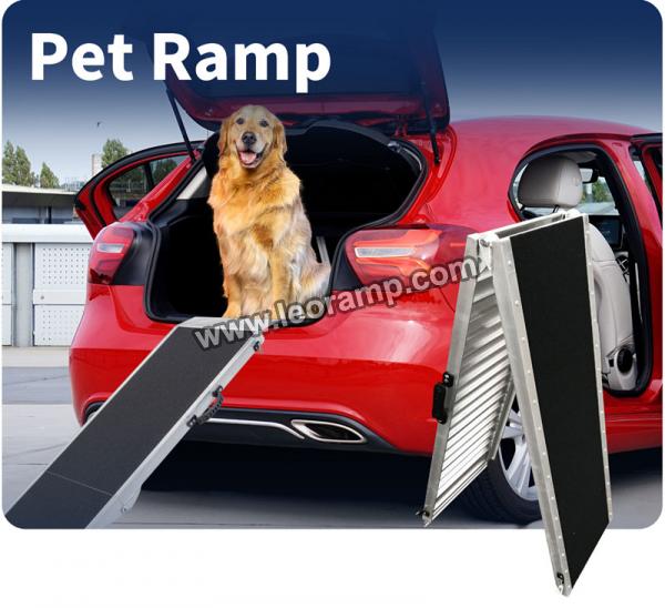 PET Ramp &raquo; PR06